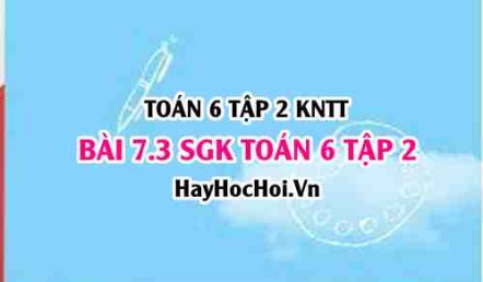 Bài 7.3 SGK Toán 6 tập 2 Kết nối tri thức